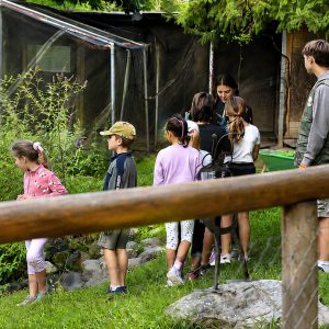 Gruppi (min. 10 persone)
