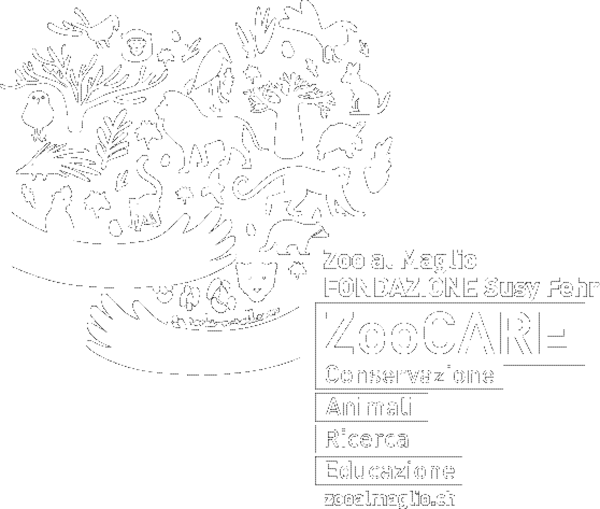 Fondazione Susy Fehr – ZooCARE